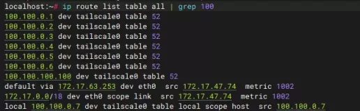 ip route list table all | grep 100