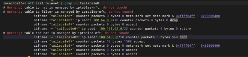 nft list ruleset | grep -i tailscale0